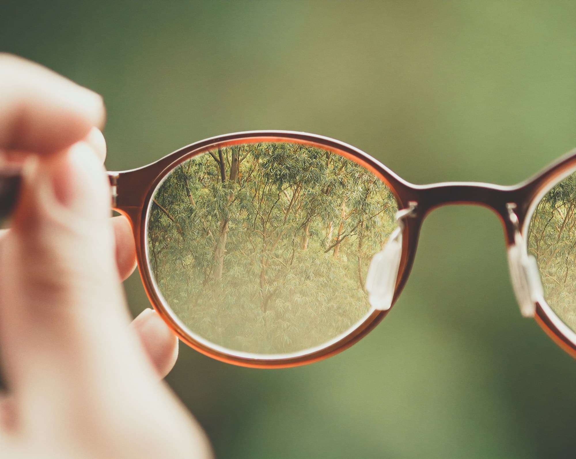 Une forêt vue nette à travers un verre de lunettes